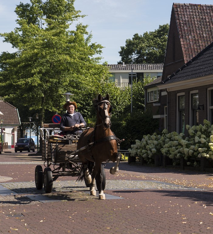 Fotografie