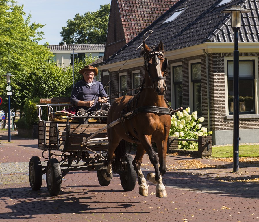 Fotografie