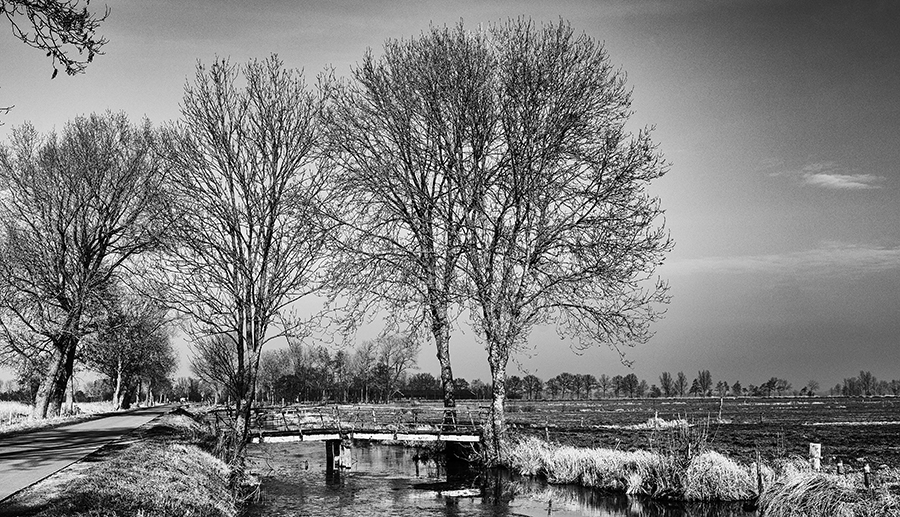 Fotografie