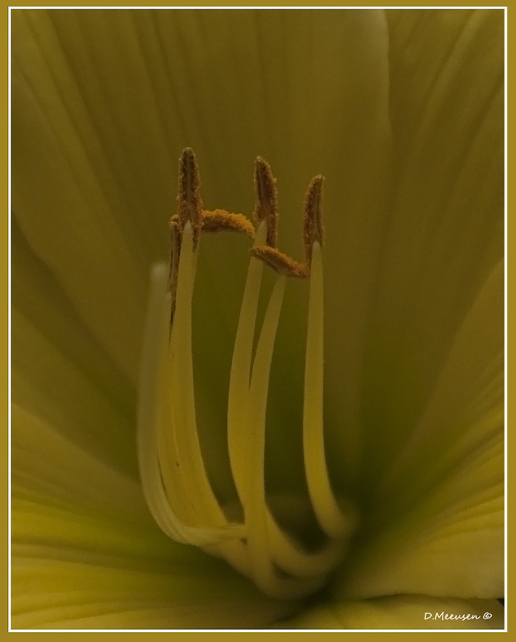Fotografie