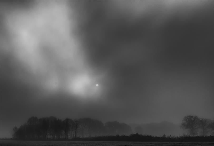 Fotografie